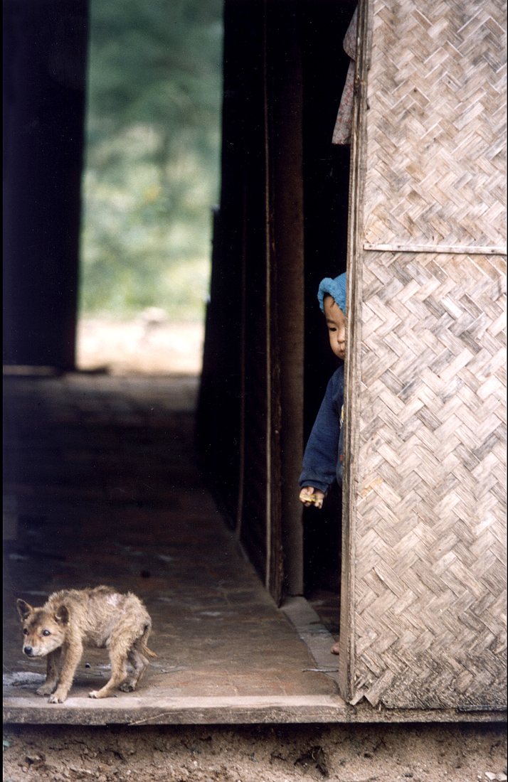 33 enfant 1-2 caché + chien.jpg